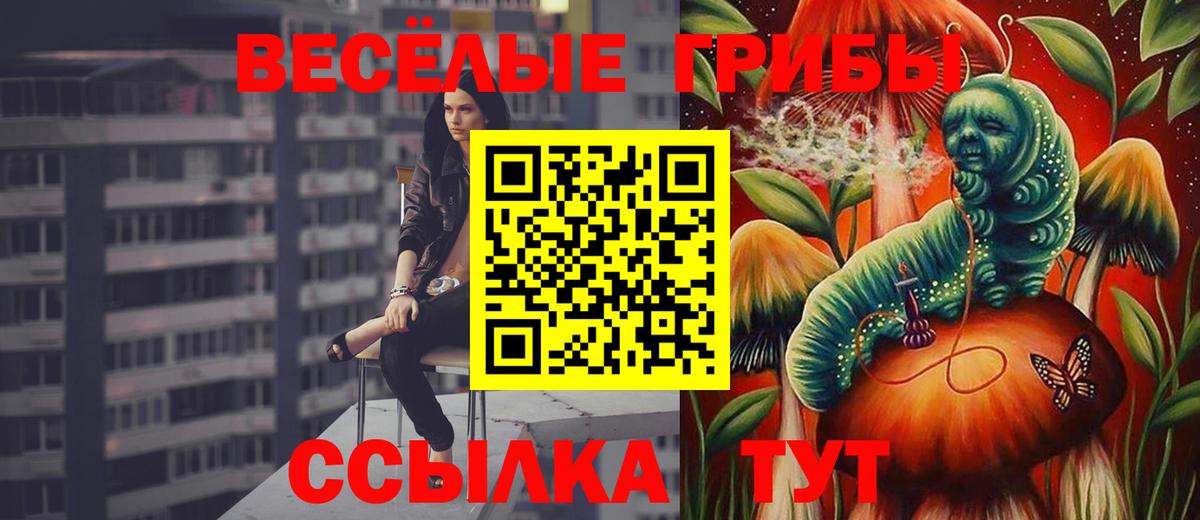Псилоцибиновые грибы Cubensis  Вход с VPN  Фрязино 