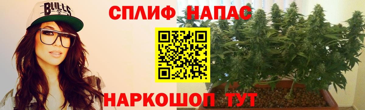 Канабис OG Kush  Бошки марихуана конопля  Вход с VPN  Фрязино  Бошки марихуана White Widow 
